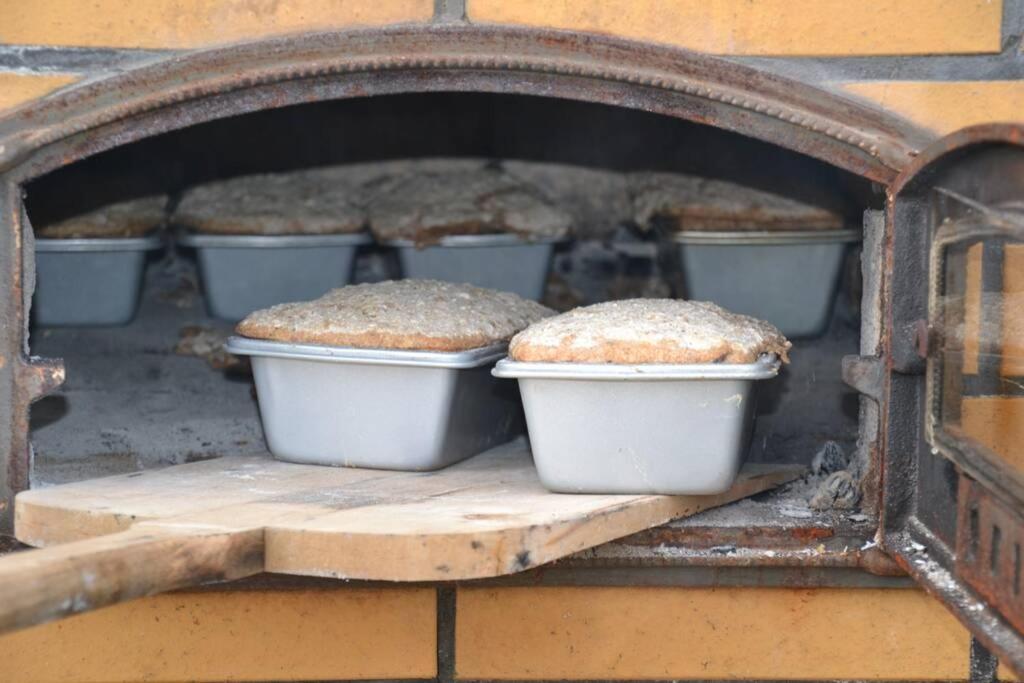 Zielono Mi - Dom Goscinny W Lapalicach Lapalice Exteriör bild