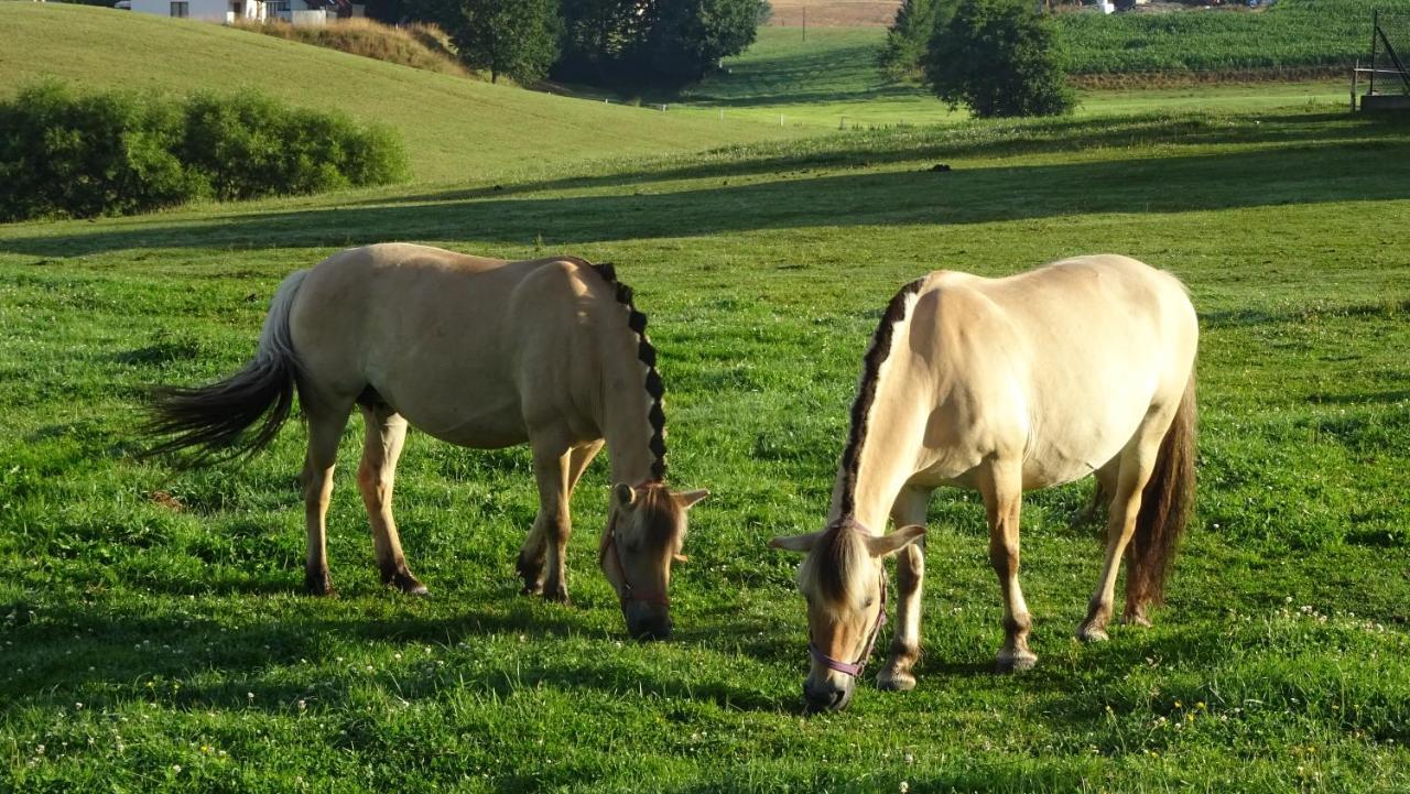 Zielono Mi - Dom Goscinny W Lapalicach Lapalice Exteriör bild